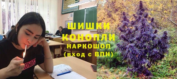 a pvp Абаза