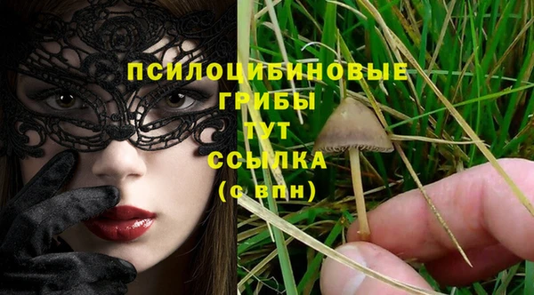 a pvp Абаза
