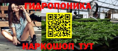 apvp Севастополь