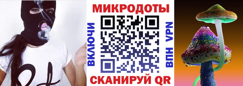 продажа наркотиков  Новосибирск  Галлюциногенные грибы Psilocybe 