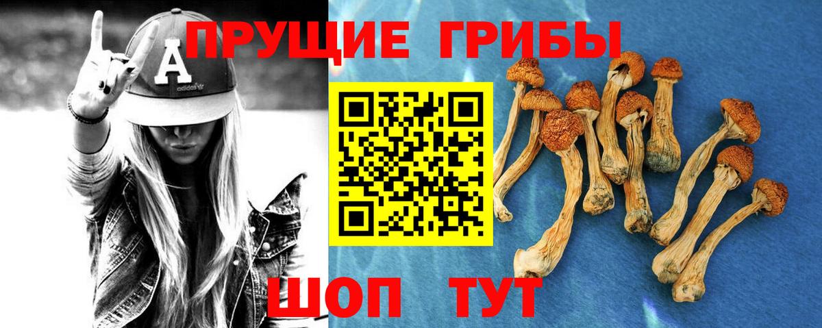 Галлюциногенные грибы мицелий  Псилоцибиновые грибы мицелий  Новосибирск  Вход с VPN 